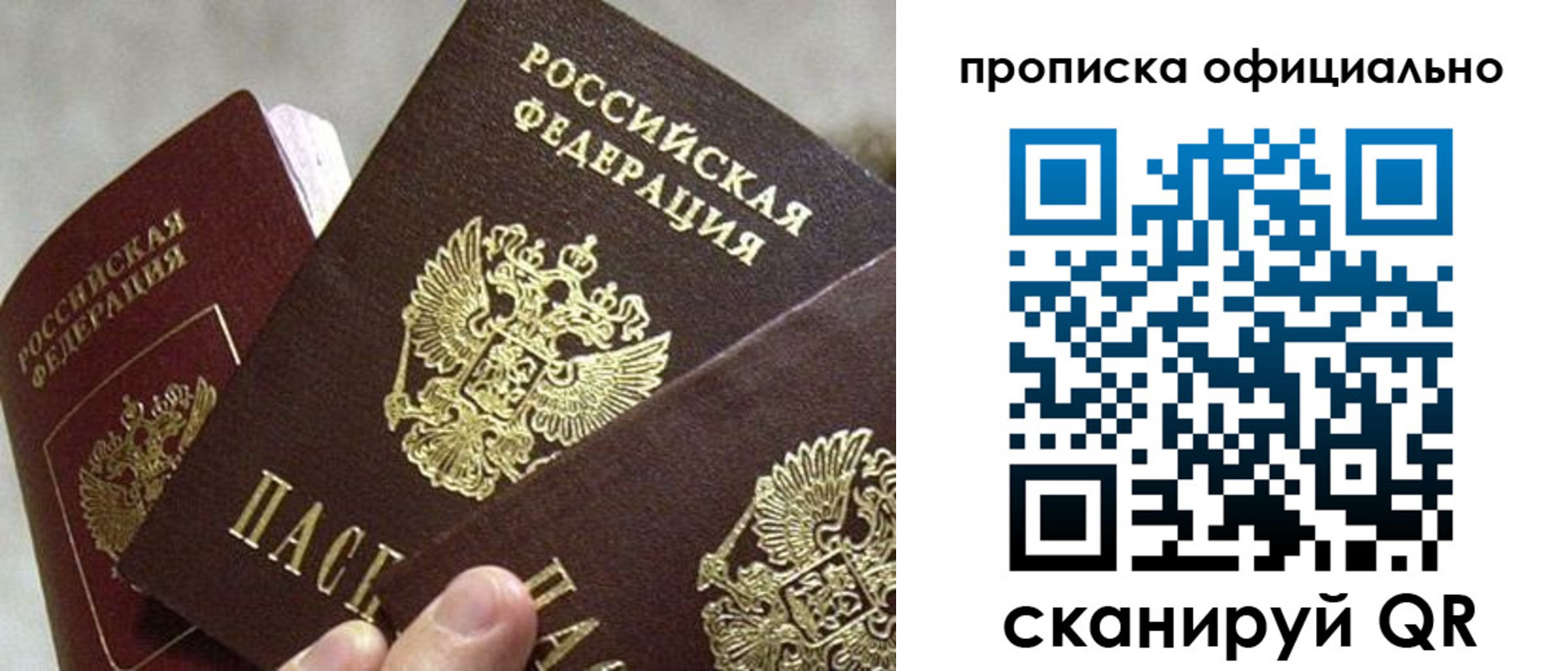 прописка гарантия в Карасуке